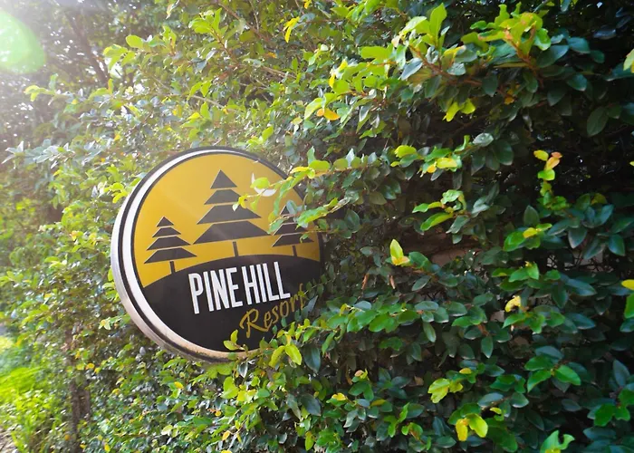Pine Hill Villas & Camping