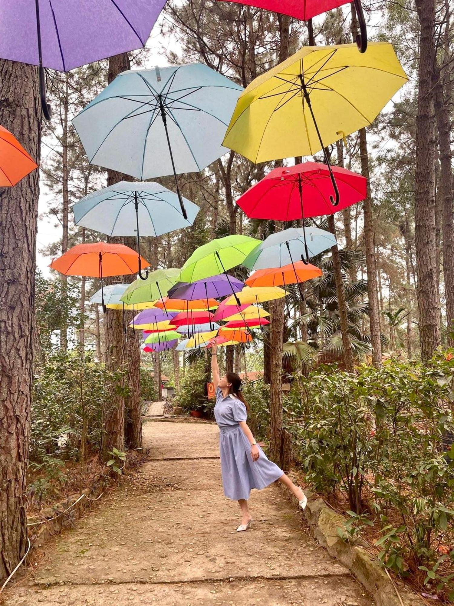 Pine Hill & Khu nghỉ mát