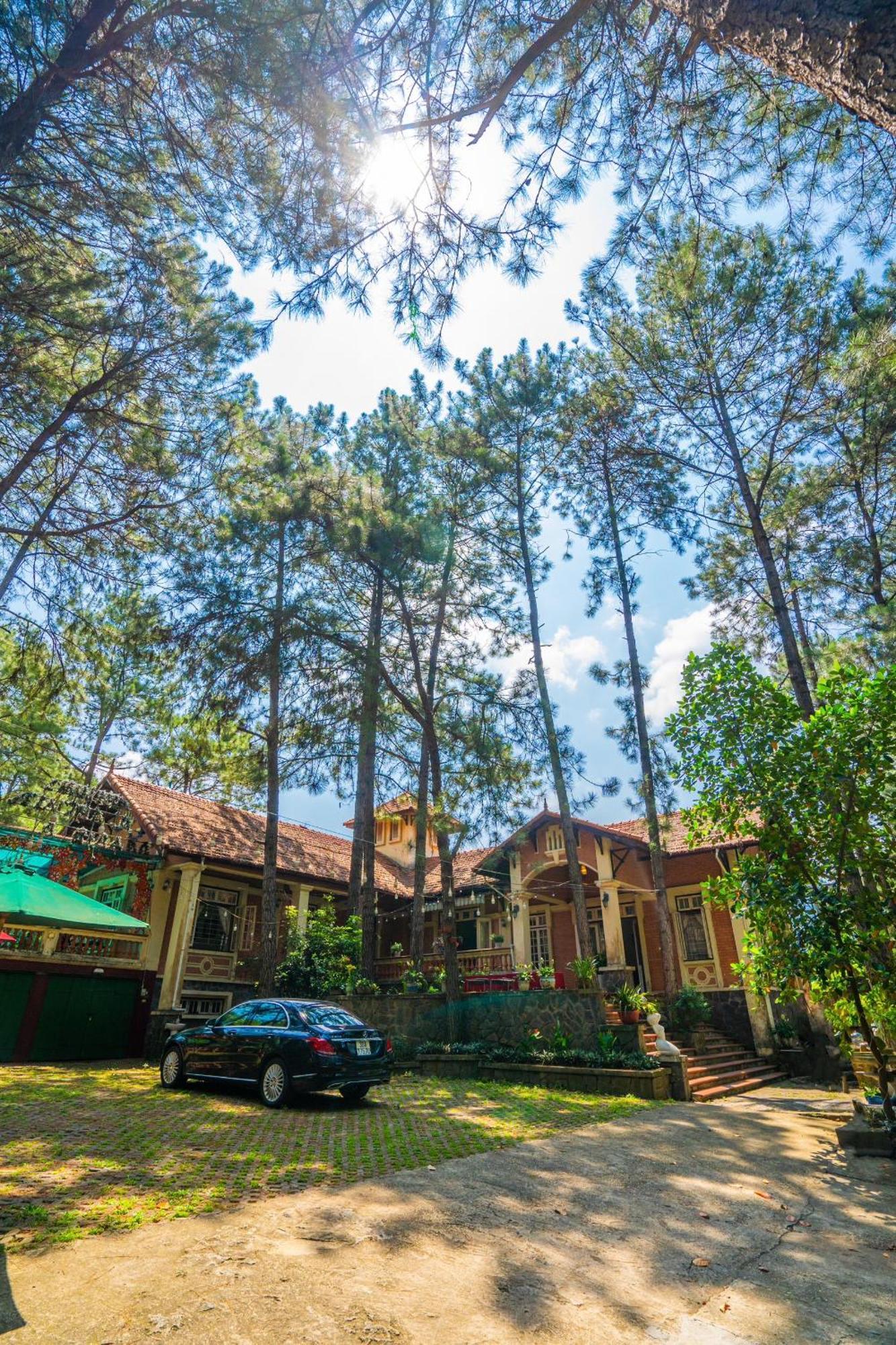 Pine Hill & * Hà Nội
