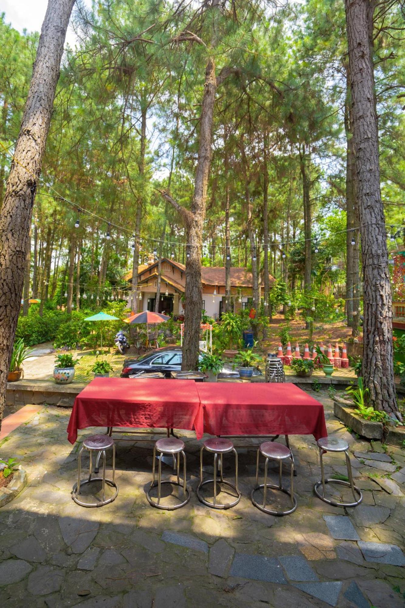 Pine Hill & * Hà Nội