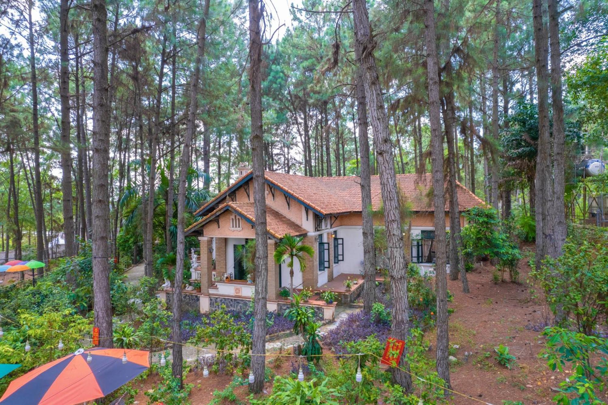 Khu nghỉ mát Pine Hill &
