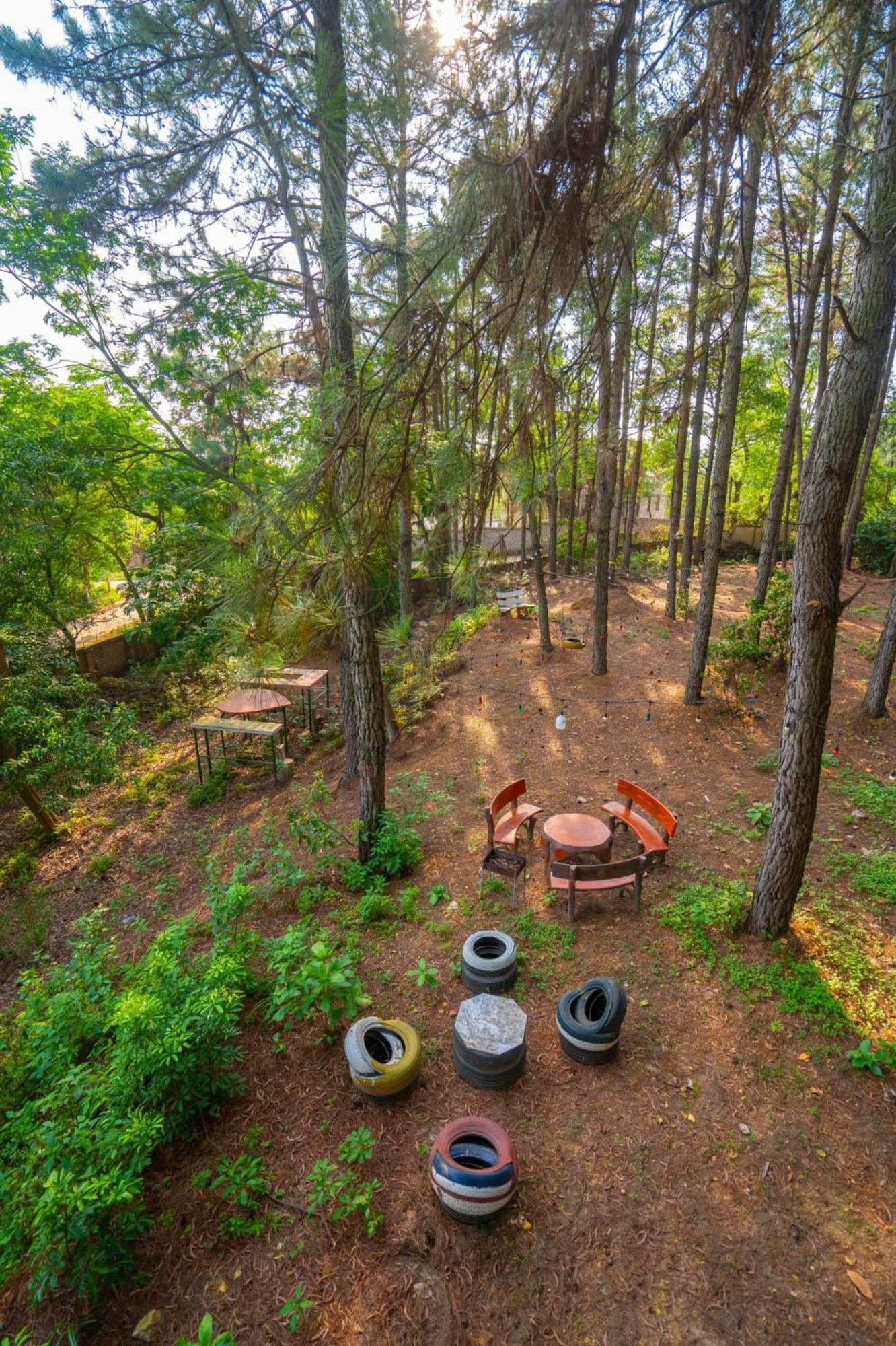 Khu nghỉ mát Pine Hill & *
