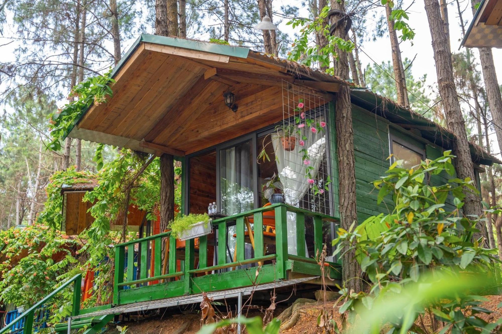 Resort Pine Hill &