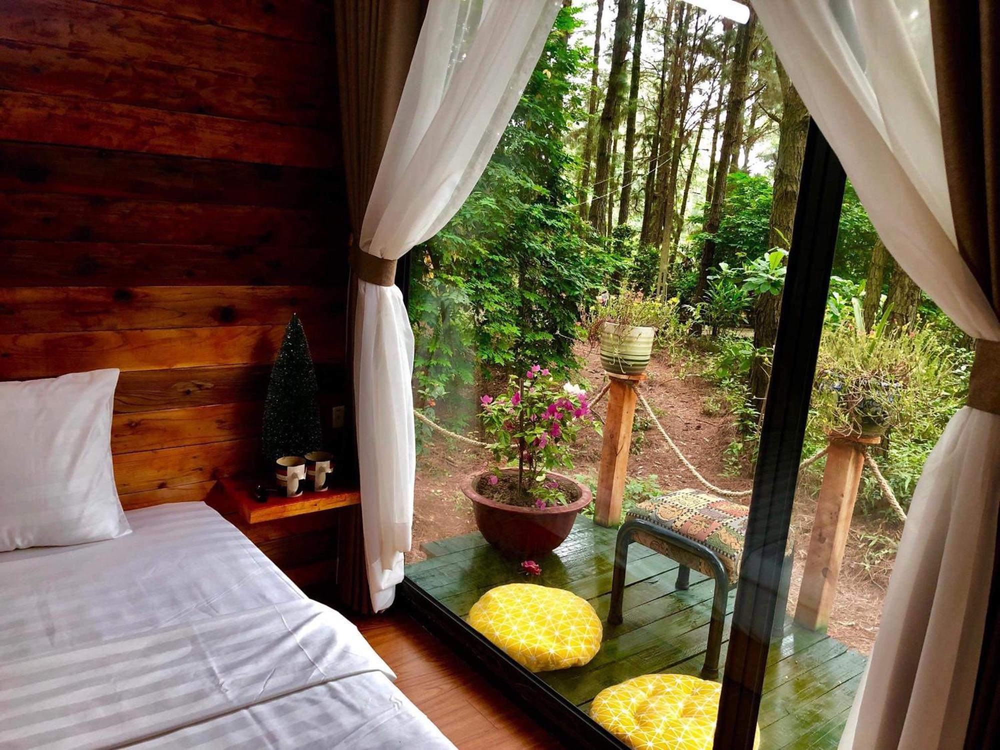 Pine Hill & Resort *
