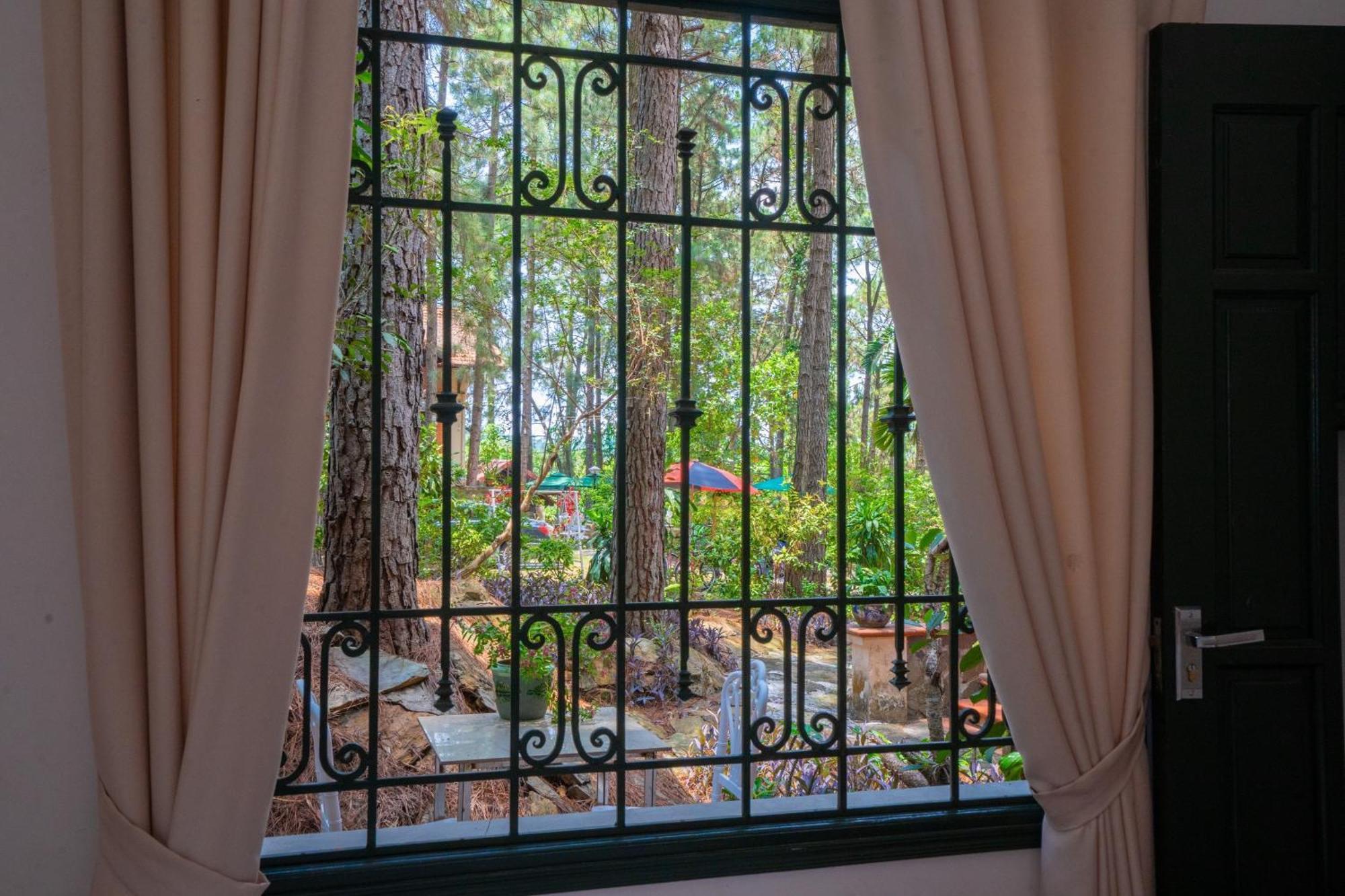 Resort Pine Hill & Hanoi