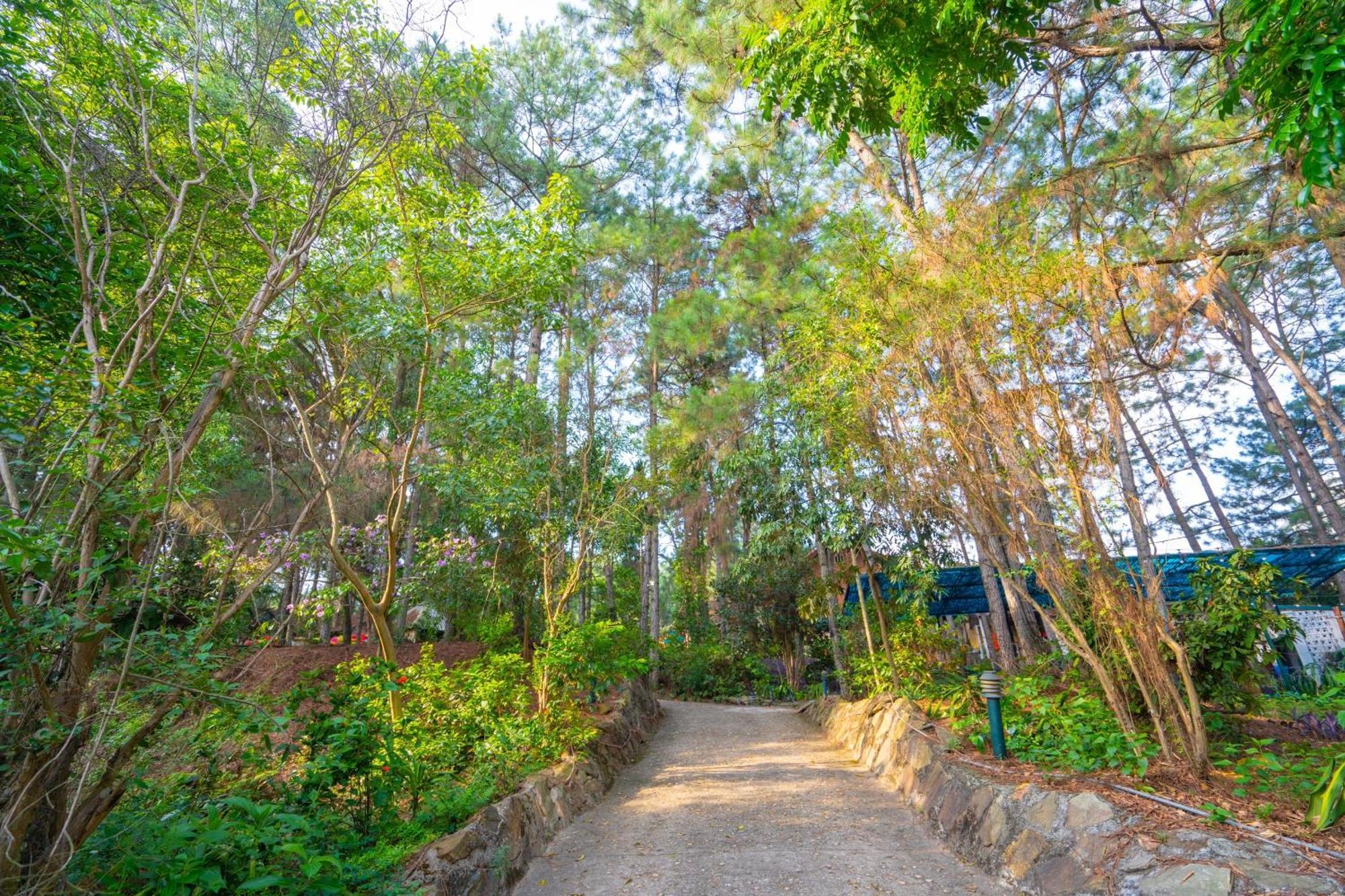 Pine Hill & Resort Hanoi