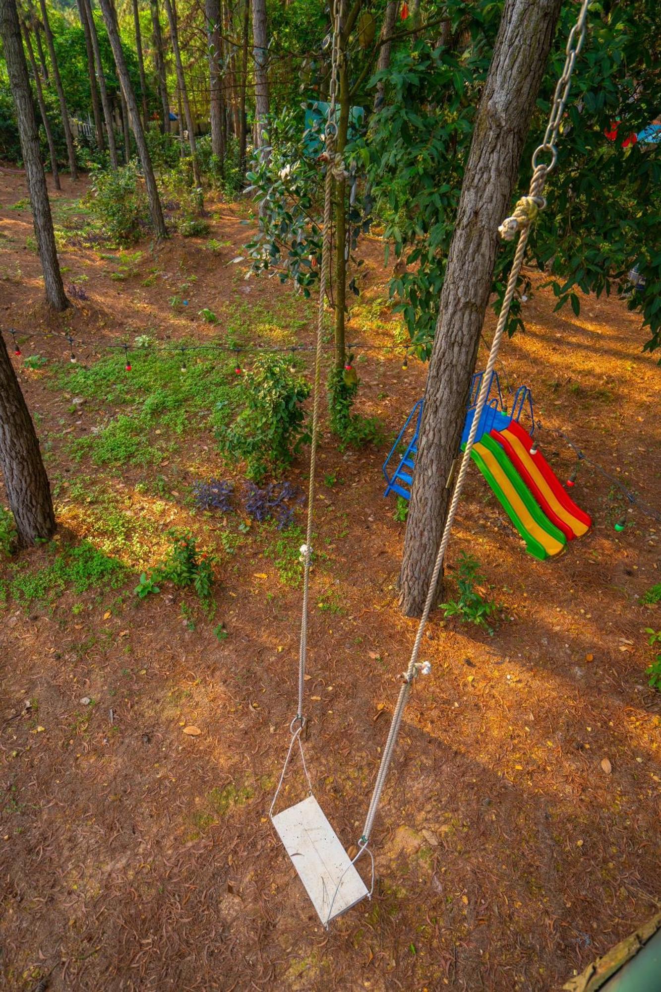 Pine Hill & Resort