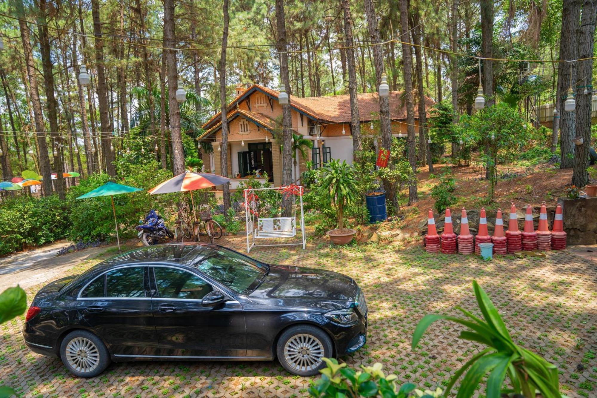 Pine Hill & Resort *