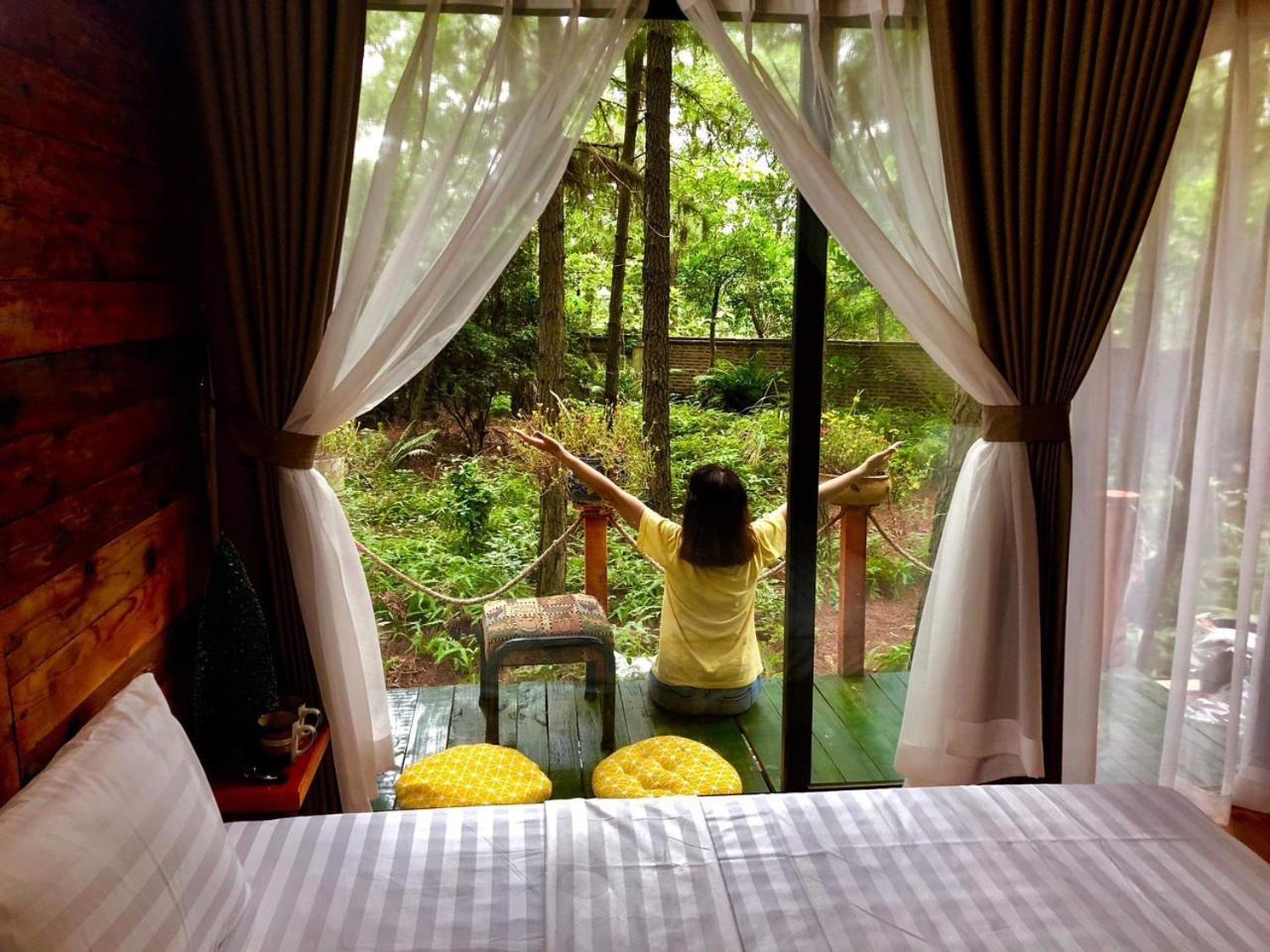 Pine Hill & Resort