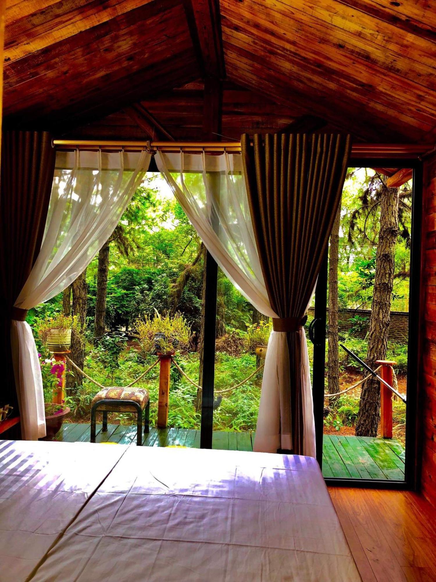 Resort Pine Hill & *